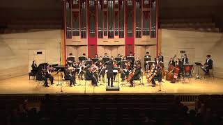 Speranza Chamber Orchestra Rondo Alla Turca K 331 터키행진곡 [upl. by Malvie962]