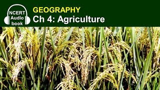 Audiobook Agriculture  NCERT Textbook in Geography for Class 10 [upl. by Tergram]