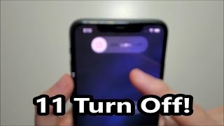 How To Force Restart a StuckFrozen Screen on iPhone 11 Pro Max 11 Pro 11 [upl. by Ffirahs20]