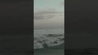 Tidal Waves Soundscape for Restorative Sleep asmr waves oceansoundsfordeepsleep beach ocean [upl. by Kubiak]