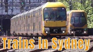 Sydney Trains at Central amp Chatswood Train Station New South Wales Australia NSW Suburban Railway [upl. by Einaej298]