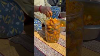 Amla Ka Achaar food achaarrecipe shorts [upl. by Banky]