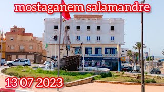 mostaganem salamandre 2023 [upl. by Ahsiak98]