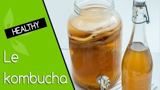 Kombucha bienfaits préparation et stockage ♥ [upl. by Schlosser]