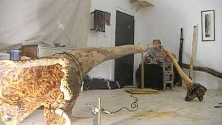 Biggest Solid Didgeridoo on the Planet  The GAIA GUM [upl. by Elleinwad343]