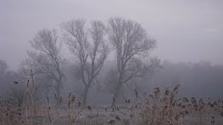 Ochtendmeditatie  10 minuten meditatie [upl. by Timotheus]