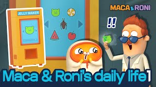 MACAampRONI Maca and Ronis daily life 1  Macaandroni Channel  Cute and Funny Cartoon [upl. by Adyela]