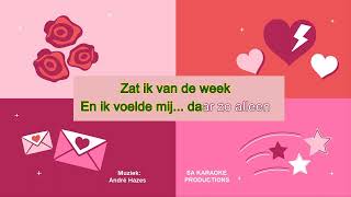 Karaoke HD quotEen Beetje Verliefdquot André Hazes met vocal assist [upl. by Monjo]