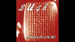 Bush  Glycerine [upl. by Pain]