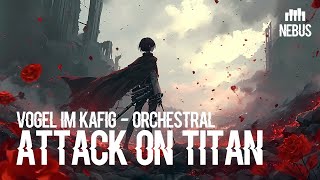 ATTACK ON TITAN  Vogel im Käfig Orchestral  Nebus  Eiji Musika [upl. by Mikey]