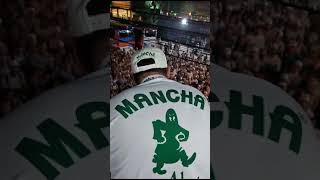 EMOCIONANTE DISCURSO DO PRESIDENTE DA MANCHA VERDE RUMO A FINAL DA SUPERCOPA [upl. by Oeht]