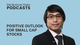 Positive outlook for small cap stocks BT Podcasts [upl. by Idalla]