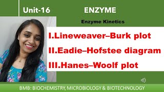 Linear plots  Lineweaver–Burk plot  Eadie–Hofstee diagram  Hanes–Woolf plot  Enzyme 16 [upl. by Ennaj]