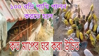 100 বদ্রি পাখি পালন করতে হলে কত মাপের ঘর করা উচিত bird bazpakhi birdslover [upl. by Leoine]