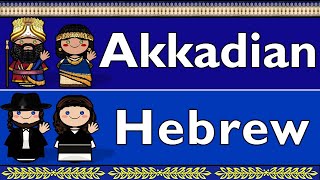 SEMITIC AKKADIAN amp HEBREW [upl. by Neenaej]