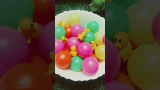 ducks babies r enjoying in ball poolmasti mja  adventure trending viral [upl. by Eeleak577]