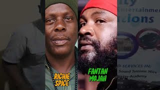 Reggae Riddim Mix I 2024 I Fantan Mojah  Richie Spice riddim DiscoverMyAfrica [upl. by Frissell336]