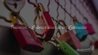 Pellworm – Liebesschlösser in der Liebesallee [upl. by Ahsyla]