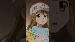 Cells At Work Platelet Leader Credits to aniplex AniplexUSA anime cellsatwork [upl. by Drogin]