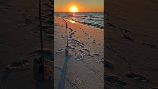 NAVARRE BEACH Sunrise Shelling 🌞 seashells [upl. by Enajaras]