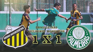 Grêmio Novorizontino 1 x 1 Palmeiras  Melhores Momentos  Paulistão Sub20 2024 [upl. by Lehrer741]