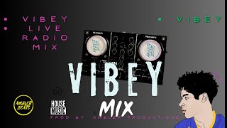 Vibey Deep House Live Radio Summer Time 2024 [upl. by Nennerb]