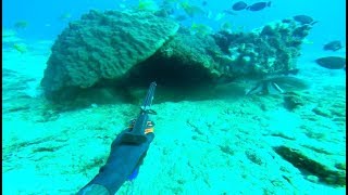 40 Mile Spearfishing  Winter Viz [upl. by Regina]