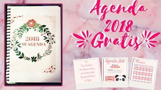 DIY Agenda 2018 Para Imprimir Gratis ⎪ Sel Vega [upl. by Illak]