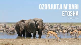 Etoshas Hidden Gem Ozonjuitji MBari Waterhole [upl. by Luapleahcim]