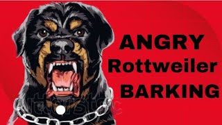 Angry Dog barking rottweiler 😤 [upl. by Dylane]