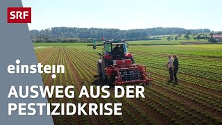 Pestizide – ist Bio eine Alternative für die Zukunft der Landwirtschaft  Einstein  SRF Wissen [upl. by Sheilah240]