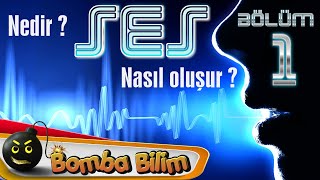 SES  Ses nedir  Nasıl oluşur [upl. by Zumstein]