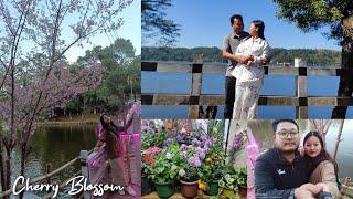 shillong Literary Festival  Wards lake cherry Blossom shillong wo berai mo Episode  4 [upl. by Einaj]