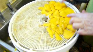 Dehydrating or FREEZING MANGO  HOW TO CUT IT  BEST WAY [upl. by Judye]