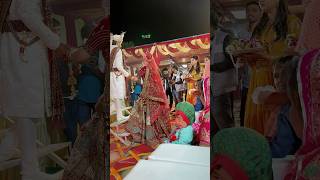 Mere yaar ki shyaadi h✨💖✨ bollywood hindisong music song shortvideo marriagevideo [upl. by Yager]