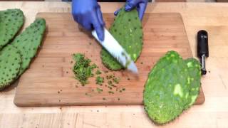 How to Prepare Nopales Cactus Pads  Sunset [upl. by Aztin434]