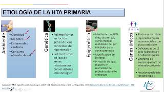 Hipertensión Arterial Etiología Fisiopatología de la HTA 13 [upl. by Sartin]