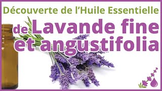 La lavande Fine et angustifolia  lhuile essentielle de lapaisement  Dr Françoise Couic Marinier [upl. by Lyrehs]