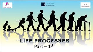 Class 10th Science Chapter 6 Life processes part 1st As per revised syllabus 202324 [upl. by Joanie]