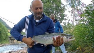 HD Part 2  Heiße Drills am Romsdalfjord  Angeln auf Lachs Dorsch und Pollack im Romsdalfjord [upl. by Derr]