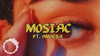 mosiac ft amoeba [upl. by Ait230]