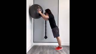 Swiss Ball Isometric Neck Flexion  cervical spine stability exercise for deep neck flexors [upl. by Isidore]