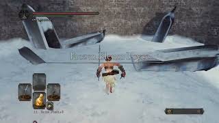 Dark Souls II Scholar of the First Sin  Covenant of Champions Part 22  Frigid Outskirts [upl. by Edalb55]