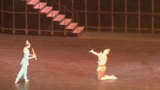 Ballet quotThe Magic Flutequot music WAMozart2014 [upl. by Rachael942]