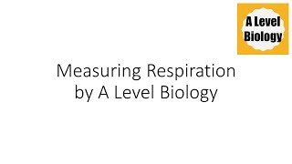 Measuring Respiration  A Level Biology [upl. by Verna557]