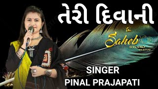 TERI DEEWANI  KUTCHI RASUDA  PINAL PRAJAPATI  SAHEB STUDIO DUDHAI [upl. by Heinrick346]