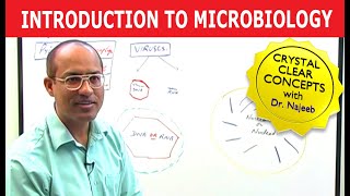 Introduction to Microbiology [upl. by Ennaesor]