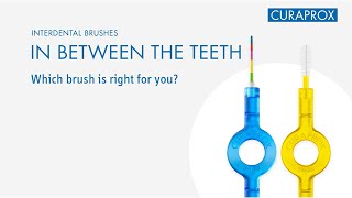 Interdental Brushes – In Between the Teeth [upl. by Nahshu]