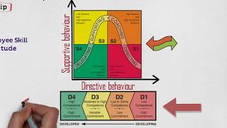 MBA 101 Leadership Situational Leadership Contingency Model [upl. by Yentrok334]