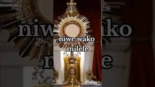 Blessed be Jesus in the Most Holy Sacrament of the Altar music catholic mass worship God Sunday [upl. by Iilek]